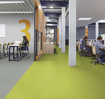 Forbo Marmoleum Solid Concrete 3742-374235 green glow фото 3 | FLOORDEALER